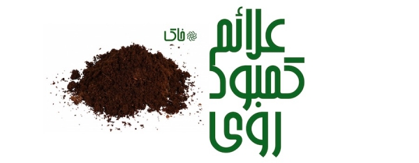 عوامل مؤثر در کمبود روی در خاک